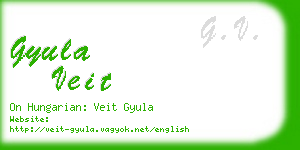 gyula veit business card